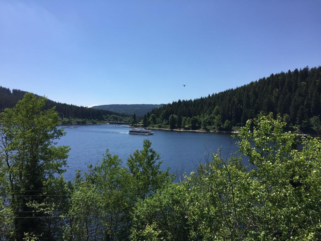 Pension Gloecklehof Todtnauberg Pokoj fotografie