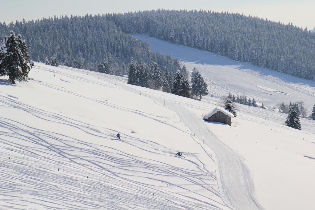 Pension Gloecklehof Todtnauberg Exteriér fotografie