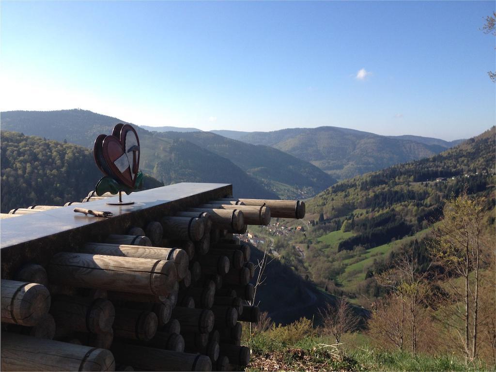Pension Gloecklehof Todtnauberg Pokoj fotografie