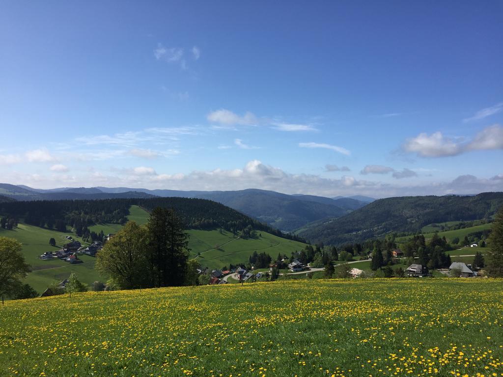 Pension Gloecklehof Todtnauberg Exteriér fotografie