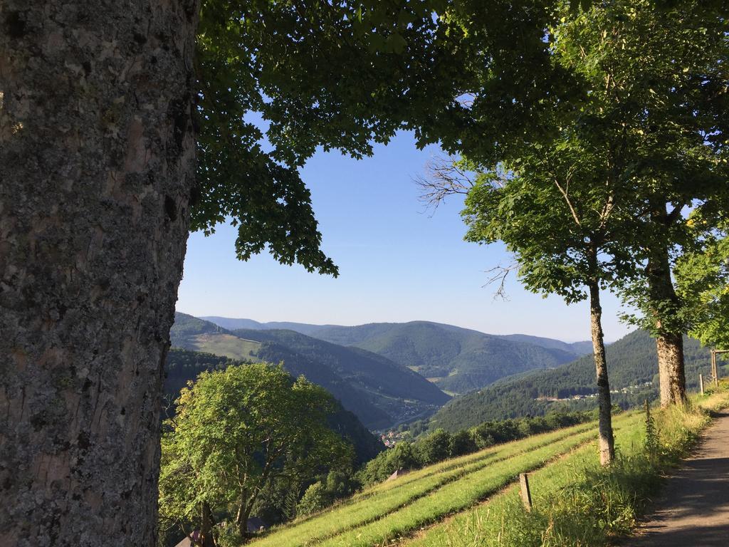 Pension Gloecklehof Todtnauberg Exteriér fotografie
